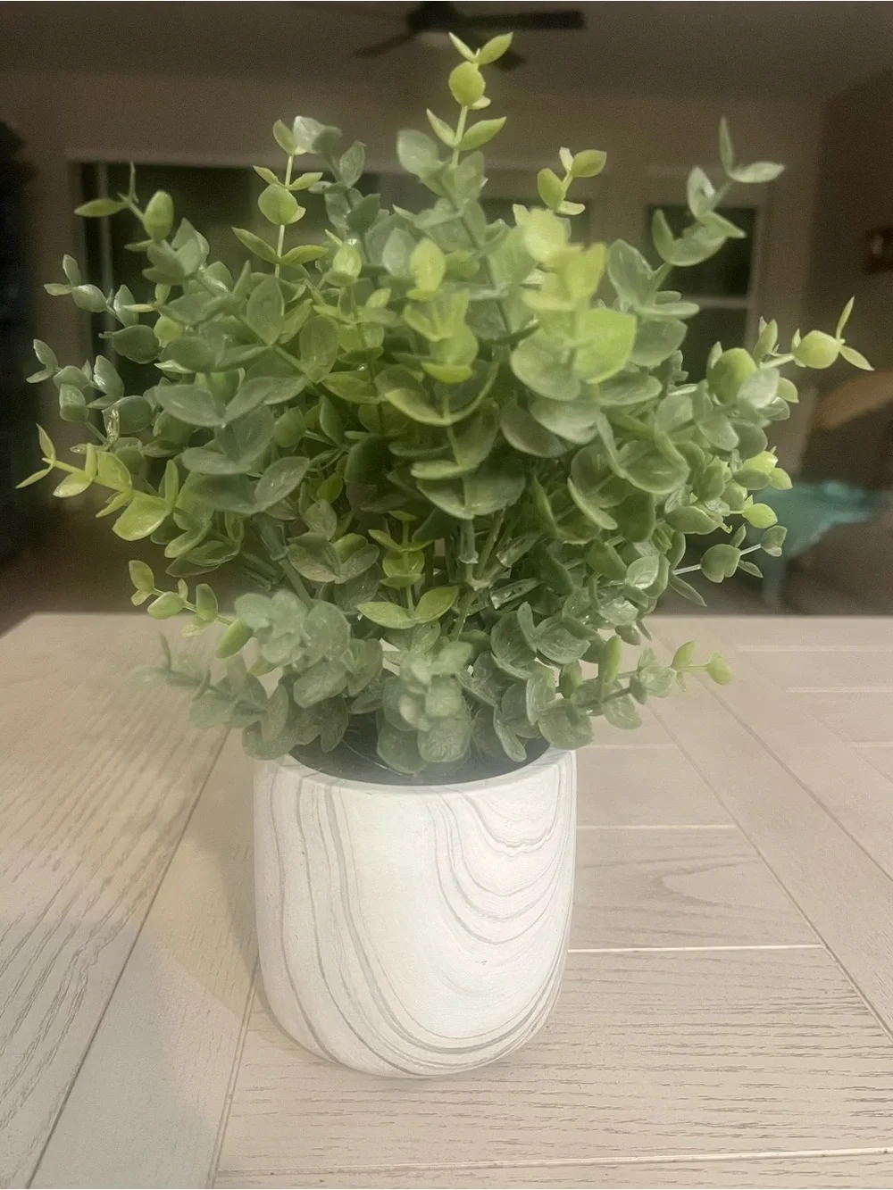 Artificial Eucalyptus Plant in Marble Pot